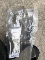IMG_4786.jpeg
