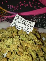 IMG_1739.jpeg