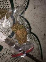 IMG_4794.jpeg IMG_4794.jpeg