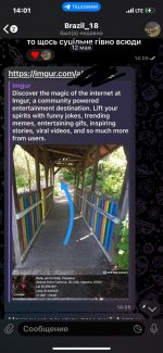 IMG_4041— крупный размер.jpeg IMG_4041— крупный размер.jpeg