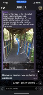 IMG_4063 — крупный размер.jpeg IMG_4063 — крупный размер.jpeg