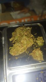IMG_20250622_113352.jpg