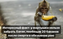 17507652903473.jpg