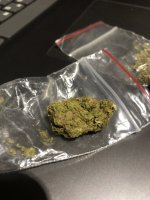 IMG_4788.jpeg IMG_4788.jpeg