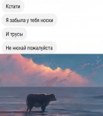 17507908169440.jpg