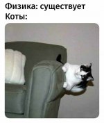 17507550811183.jpg
