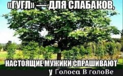 17507550811171.jpg