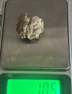 IMG_5481.jpeg