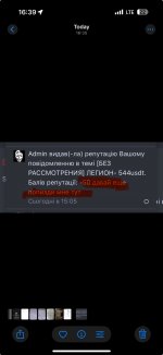 IMG_8035.jpeg