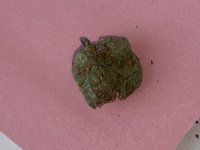 IMG_9917.jpeg