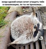 IMG_5544.jpeg