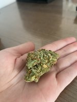 IMG_6311.jpeg
