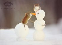 IMG_20250626_174121_736.jpg