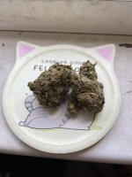 IMG_3139.jpeg