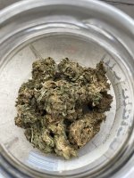 IMG_3135.jpeg