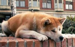 IMG_3056.jpeg