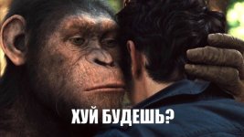 хуй.jpeg