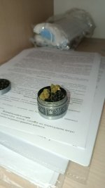 IMG_4360.jpeg