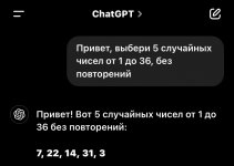 IMG_3926.jpeg