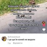 IMG_3512.jpeg
