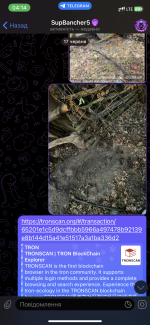 IMG_4669.png