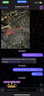 IMG_4673.png