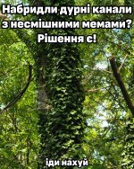IMG_3532.jpeg