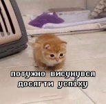 IMG_3529.jpeg