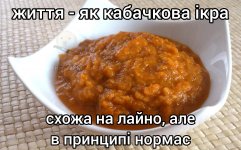 IMG_3528.jpeg