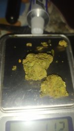 IMG_20250621_161414.jpg