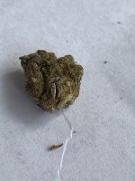 IMG_4694.jpeg IMG_4694.jpeg
