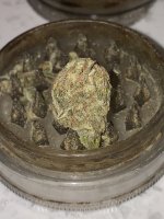 IMG_2326.jpeg