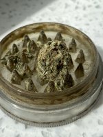 IMG_2328.jpeg