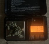 IMG_3151.jpeg