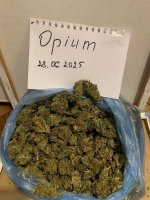 IMG_2088.jpeg