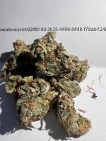 IMG_3154.jpeg