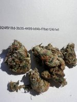 IMG_3160.jpeg