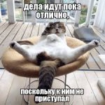 IMG_3085.jpeg