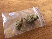 IMG_4855.jpeg IMG_4855.jpeg