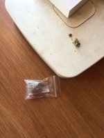IMG_4834.jpeg IMG_4834.jpeg