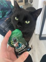 IMG_0601.jpeg