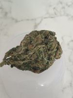 IMG_8811.jpeg