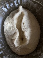IMG_5603.jpeg