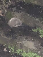 IMG_7545.jpeg