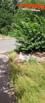 IMG_20250702_074919.jpg
