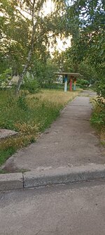 IMG_20250629_200609.jpg