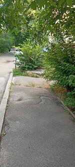 IMG_20250629_200622.jpg
