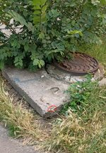 IMG_20250702_075025.jpg