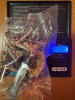 IMG_2425.jpeg
