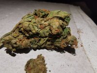 IMG_20250629_205015.jpg